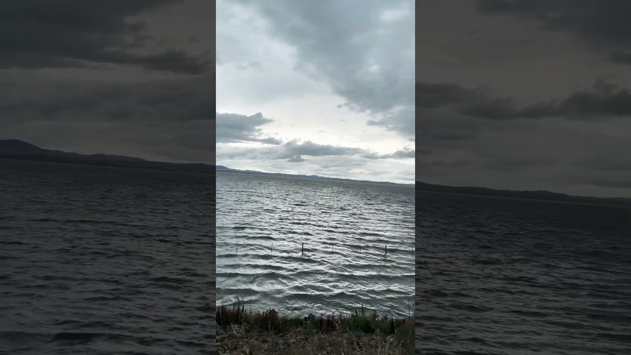 YouTube Short thumbnail