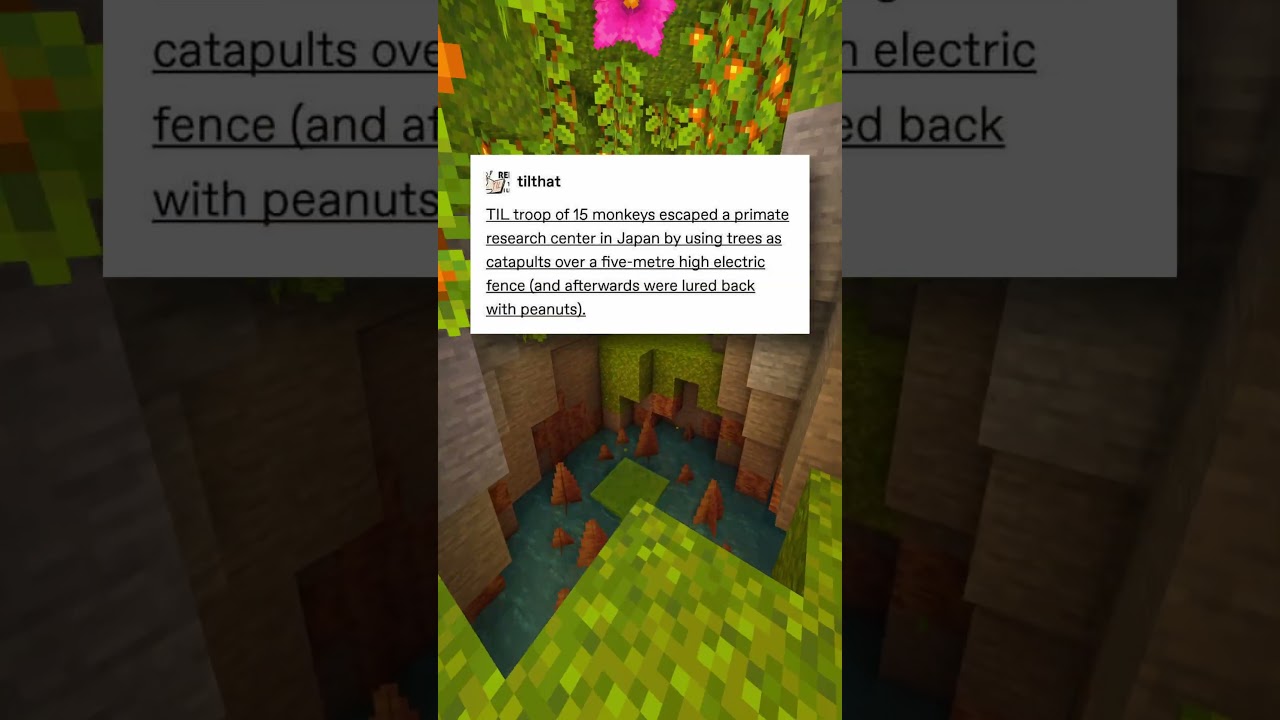 너무 단순해요😭💀