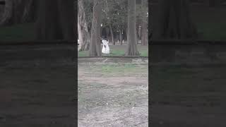 La llorona en Parque Rivera