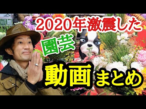 園芸 日本のクロスネ