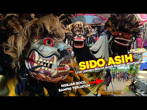 TERBARU‼️BARONGAN SIDO ASIH LIVE DESA JAMBU BARAT NGELAK MLONGGO JEPARA | SINGO BARONG NGAMOK