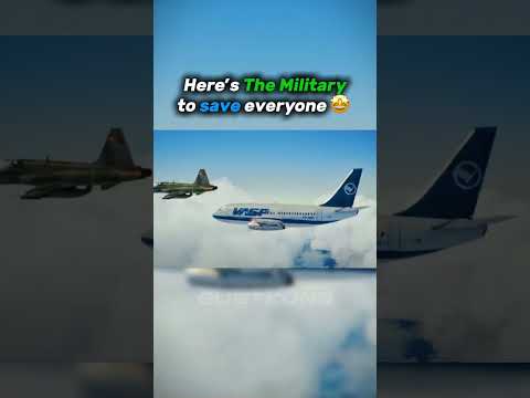 VASP Flight 375🤯 - The Crew BEAT the Hijacker💪😨