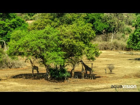 Kafue National Park - Zambia Tourism
