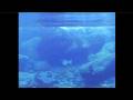 Salmon fishing in Iceland with underwater camera ...