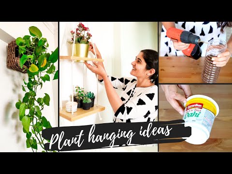 , title : '5 Unique Ideas for Hanging Plants Indoors | DIY Elegant and Easy'