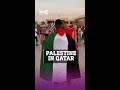 ‘Free Palestine’: Arab fans fly Palestinian flag at World Cup