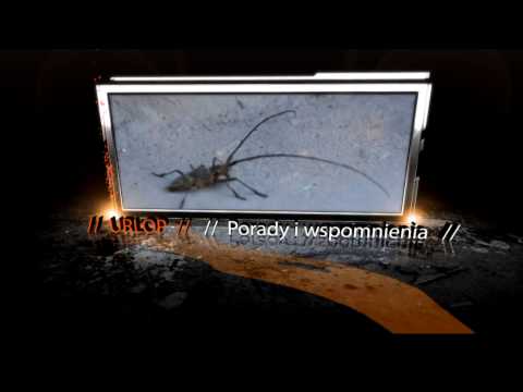 download lagu mp3 mp4 Autoreklama Lv, download lagu Autoreklama Lv gratis, unduh video klip Autoreklama Lv