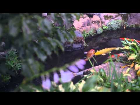 FrankCarmine - Lost With You (ft. Tritonal, Clean Bandit, Askery & Lash)