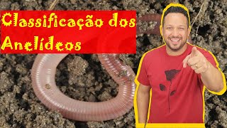 Classificação dos Anelídeos - Oligoquetos, Poliquetas e Hirudíneos - Filo Annelida - Zoologia