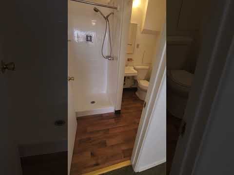 Cholla 6666 - Video 2 of 2