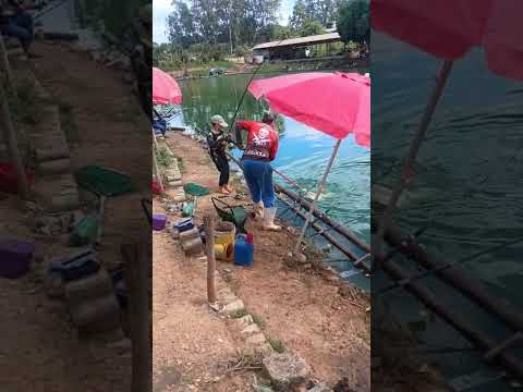 pesqueiro do Márcio na diária em Elias Fausto #shorts #shortvideo #pesca