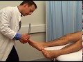 Neurological peripheral vibration test