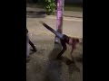 Bro Wasted His Most Precious Move Comedy Dankmemes Memes