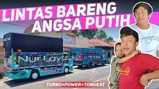 🔴TRAVELING WITH THE UMPLUNG SILUMAN..!! The white swan has returned to the road