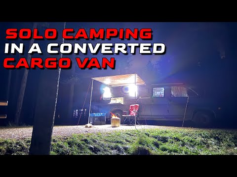 Van Camping with 2 Cats and Comfort Food