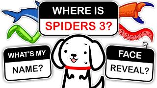 I Finally Answered Your Questions