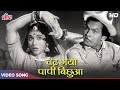 चढ़ गयो पापी बिछुआ Song Lata Mangeshkar Vyjayanthimala Dilip Kumar Joh