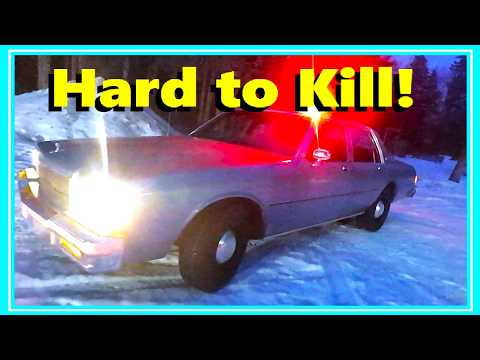 Mr. Seagal, Your Car is Ready... 1989 Caprice 9C1 Finished! Plus: 1959 Buick, 1938 Imperial