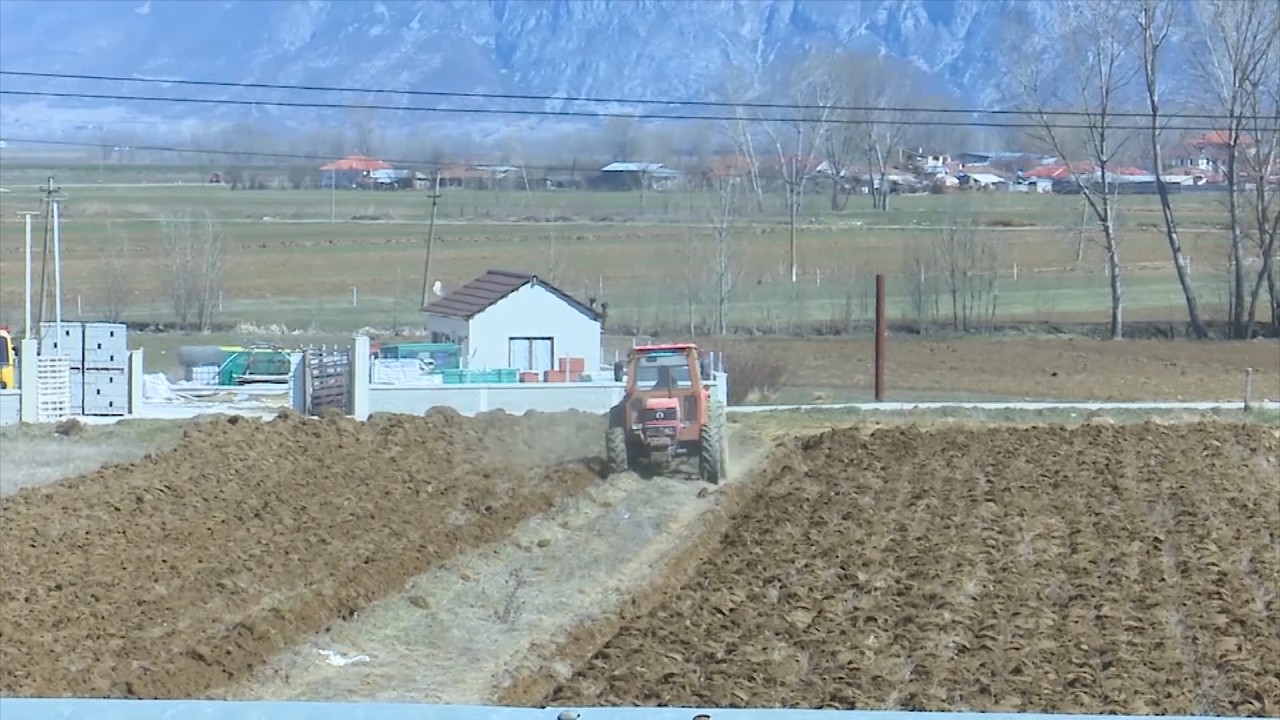 Pagesat e subvencioneve për fermerët, autoritetet bëjnë apel për plotësimin në kohë të dokumentacionit