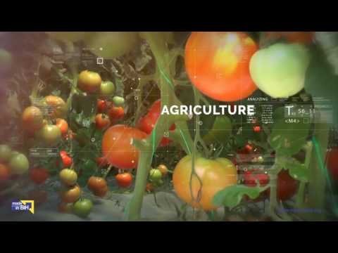 download lagu mp3 mp4 Made In Bih, download lagu Made In Bih gratis, unduh video klip Made In Bih