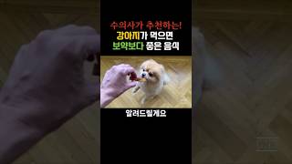 강아지가 먹으면 보약보다 좋은 음식 5가지 #반려견 #건강정보