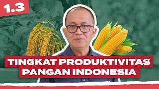 Download lagu Tingkat Produktivitas | Ep.3 - Perdagangan Pangan di Indonesia mp3