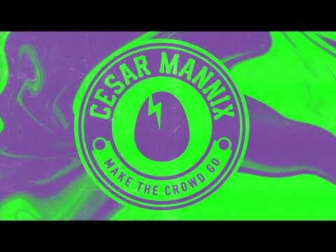 Cesar Mannix - Make The Crowd Go [BIRDFEED EXCLUSIVE]