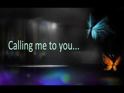 Shadows Of The Night