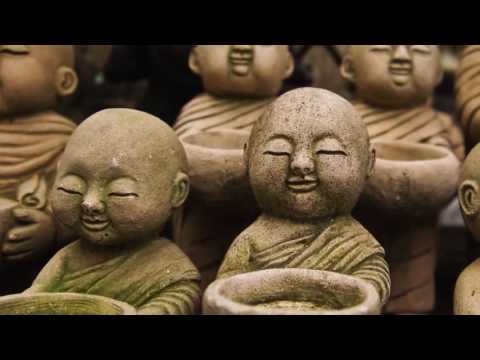 Shinzen Young - The Science of Enlightenment (Book Trailer)