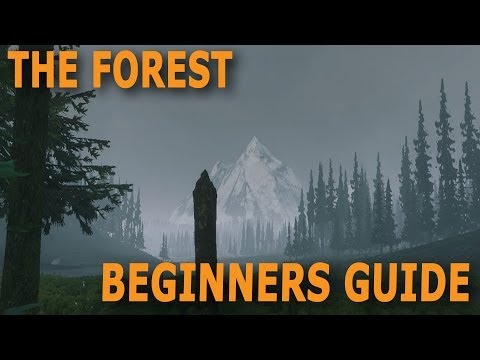 The Forest - Beginners Guide ( Food, Building, Weapons... )