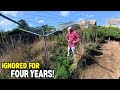 The Surprise He NEVER EXPECTED After We Rescue Nick S Garden