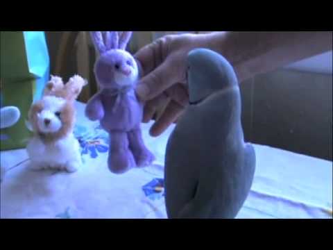 Cumpleaños de Marnie