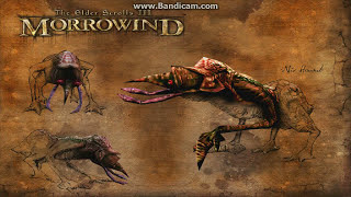 Как установить мод для TES III Morrowind правильно? Никаких жёлтых треугольников!