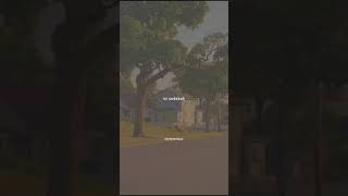 Download lagu Amalan sedekah subuh - Alm. Syekh Ali Jaber mp3