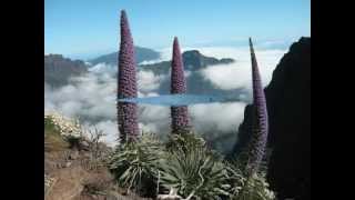 ► ISLAS CANARIAS - Pasodoble - Los Sabandeños