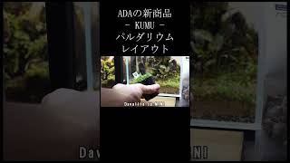 ADA「KUMU」でパルダリウムレイアウトしてみました #shorts 3 #パルダリウム