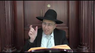 פרשת שמיני עם פירוש 'אור החיים' החקדוש  - הרב שלמה ברסקה שליט"א