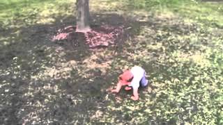 Reizo and the squirrel