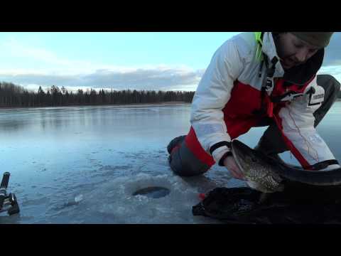 Ismete, drillning av 8kg gädda.