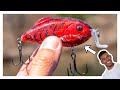 The Most UNIQUE Crankbait You Ll Ever Own