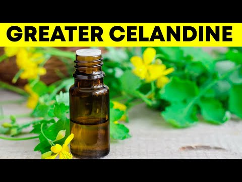 , title : 'Celandine Is A Great Benefit And Harm!'