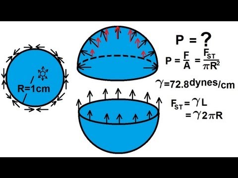 Physics 33 1 Surface Tension 1 of 12 What is Surface Tension