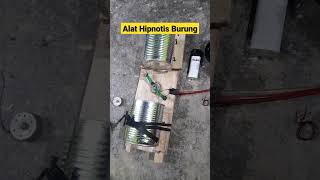 Download lagu BIRD HYPNOSIS TOOL bird hypnotist #shortvideo mp3