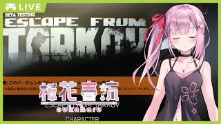 【EFT/タルコフ】ワイプきた！！Lv1~【桜花春流/Vtuber】