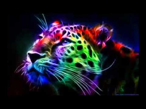 dj_debb - Mr. Polska feat. I Am Aisha - Survivaltocht