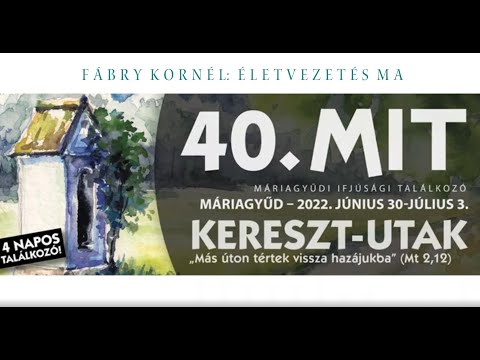 Fábry Kornél a MIT-en (2022.07.01.)