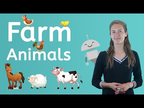 What Animals Live on a Farm?