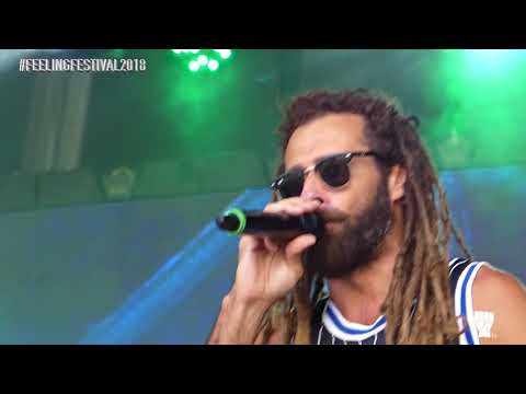 Reggae Canario TV - Feeling Festival 2018