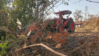 ត្រាក់ទ័ររុញព្រៃ_Kubota M6040su​ Tractor Pushing The Bush(Cambodia Farm)