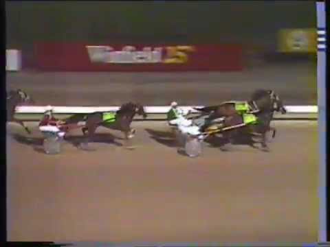 1984 Interdominions - Globe Derby Park, Adelaide, Trotters' Grand Final : Sir Castleton